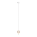 MAXLIGHT P0527 - LED Luster na lanku PALLONCINI 2xLED/3W/230V pr. 12 cm číra