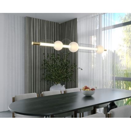 MAXLIGHT P0593 - LED Luster na lanku BORA LED/29W/230V biela/čierna