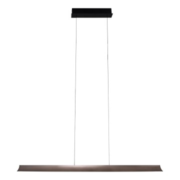 MAXLIGHT P0595 - LED Stmievateľný luster na lanku JO-JO LED/38W/230V 2700/4500/5500K antracit