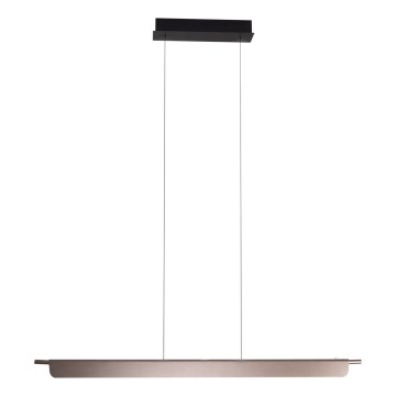 MAXLIGHT P0597 - LED Stmievateľný luster na lanku JO-JO LED/40W/230V 2700/4500/5500K antracit