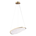 MAXLIGHT P0637D - LED závesný luster EMPIRE na lanku LED/17W/230V zlatá