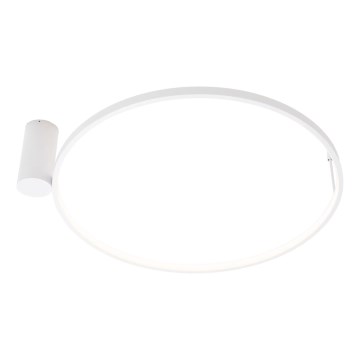 MAXLIGHT W0434 - LED kúpeľňové stropné svietidlo VISUAL LED/22W/230V pr. 60 cm IP44 biela