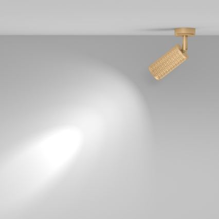 Maytoni C034CL-01G - Bodové svietidlo FOCUS 1xGU10/10W/230V zlaté