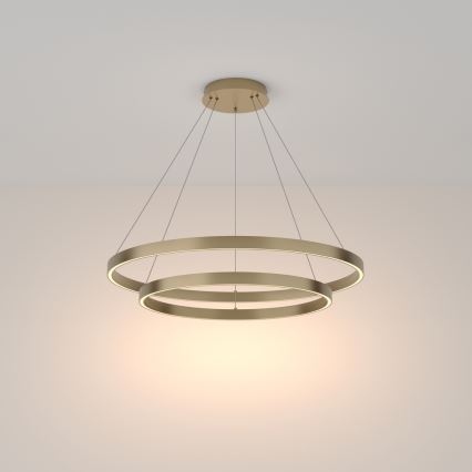 Maytoni MOD058PL-L74BS3K - LED Luster na lanku RIM LED/88W/230V 3000K pr. 80 cm zlatá