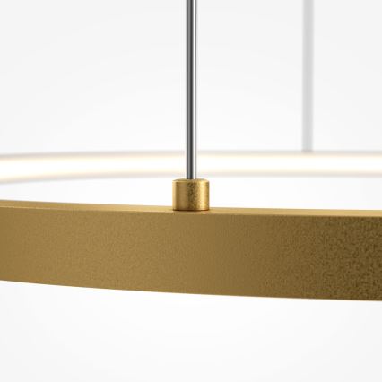 Maytoni MOD072PL-L36BSK1 - LED Luster na lanku GLINT LED/36W/230V zlatá pr. 80 cm
