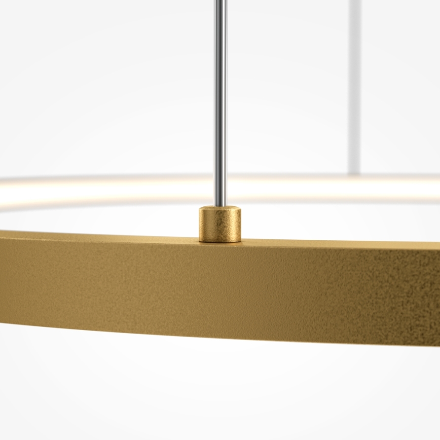 Maytoni MOD072PL-L36BSK1 - LED Luster na lanku GLINT LED/36W/230V zlatá pr. 80 cm