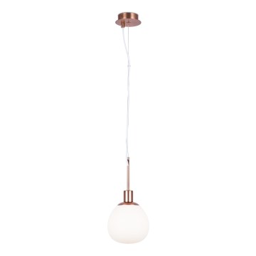 Maytoni MOD221-PL-01-G - Luster na lanku ERICH 1xE14/40W/230V medená