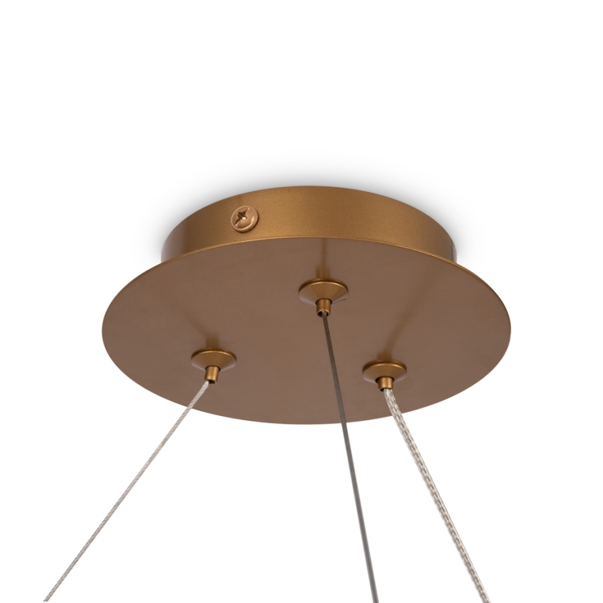 Maytoni MOD317PL-06G - Luster na lanku BALANCE 6xG9/40W/230V medená