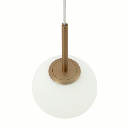 Maytoni MOD321PL-01G1 - Luster na lanku BASIC 1xE14/40W/230V zlatá