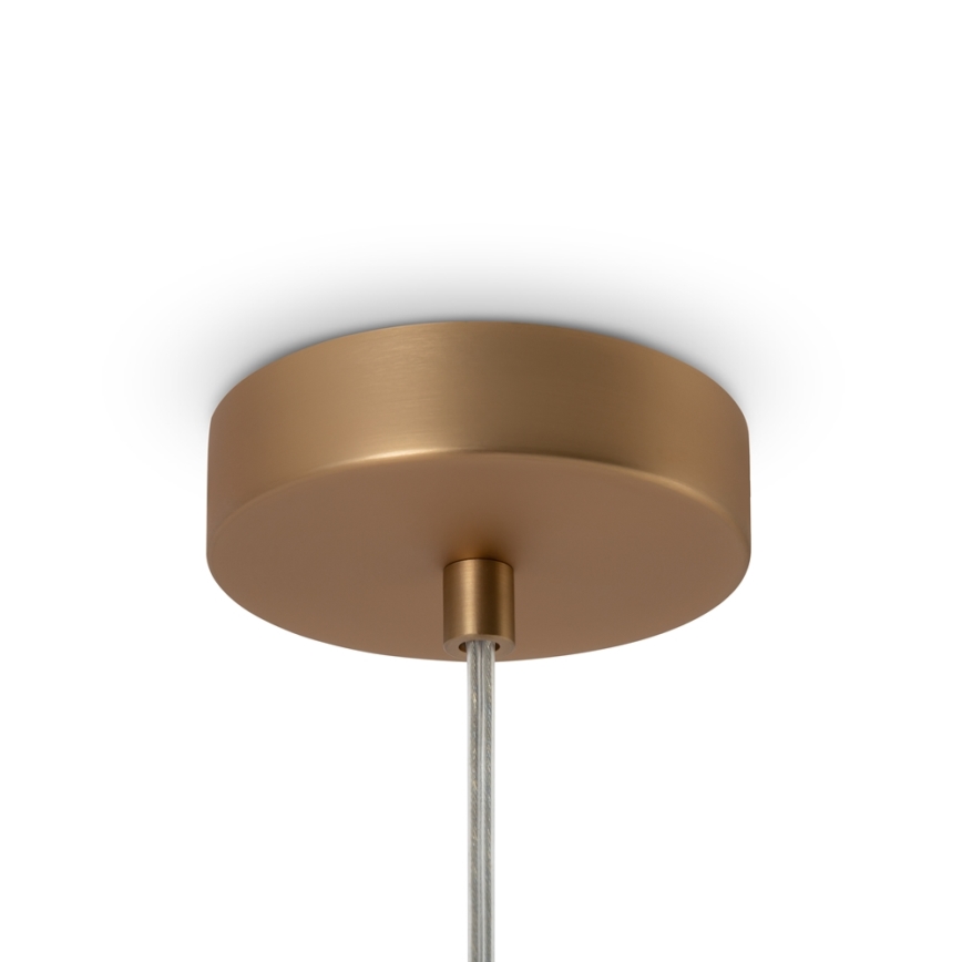 Maytoni MOD321PL-01G1 - Luster na lanku BASIC 1xE14/40W/230V zlatá