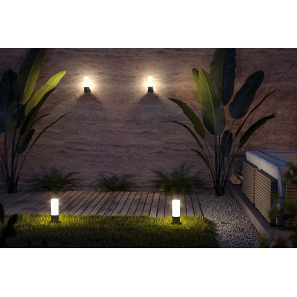 Maytoni O418FL-01B - Vonkajšia lampa WILLIS 1xE27/60W/230V 30 cm IP54 čierna