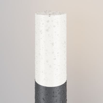 Maytoni O418FL-01GR1 - Vonkajšia lampa WILLIS 1xE27/60W/230V 80 cm IP54 antracit