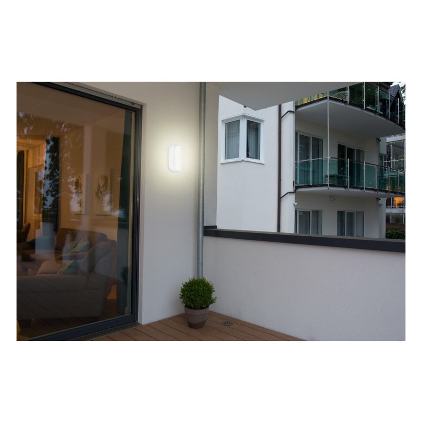 Müller-Licht - LED Vonkajšie stropné svietidlo so senzorom IPSUM LED/8W/230V IP54