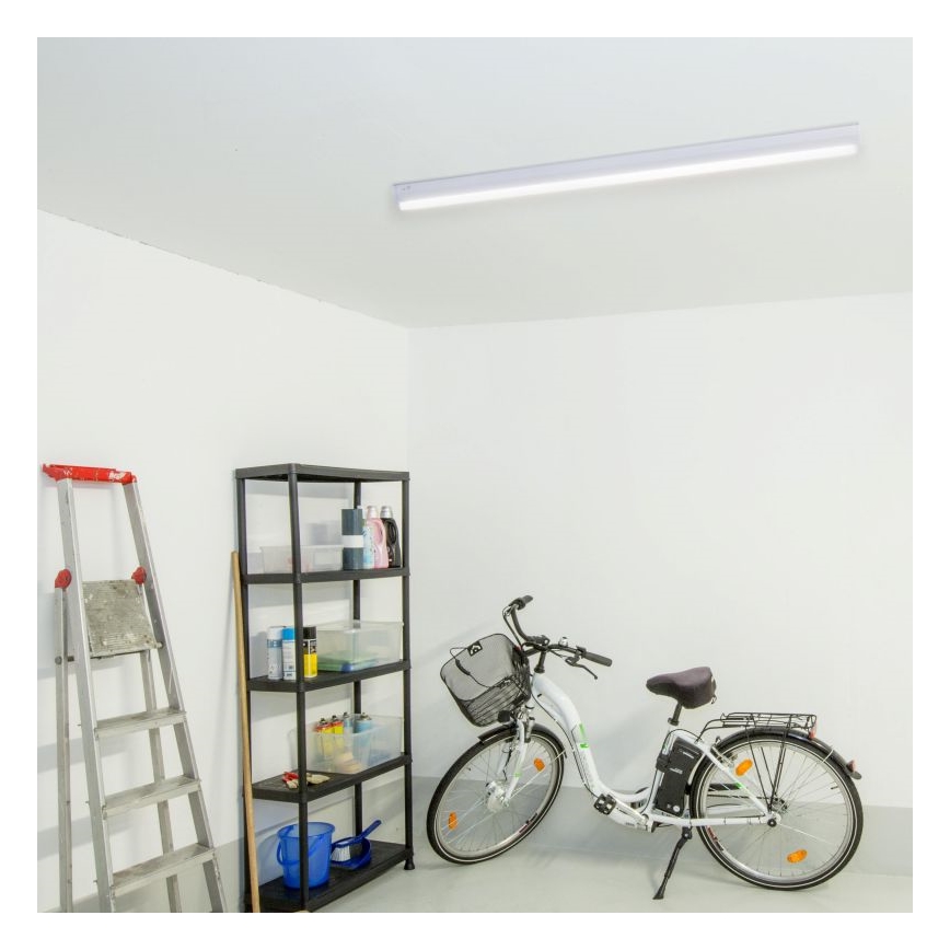 Müller-Licht - LED Žiarivkové svietidlo BASIC LED/15W/230V 60 cm