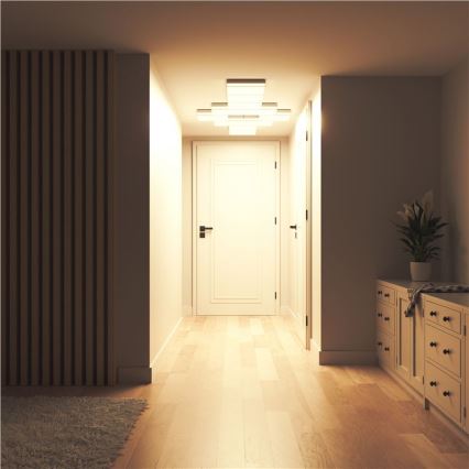 Dvere sa nachádzajú na konci chodby s drevenou podlahou a osvetlením zo stropných svietidiel. Po stranách chodby sú steny a nábytok - komoda s niekoľkými zásuvkami. Pri vstupe do chodby je koberec.