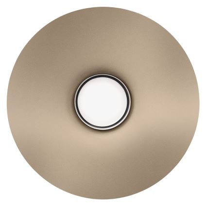 Nástenná lampa CAPITAL 1xGX53/15W/230V hnedosivá