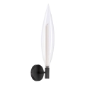 Nástenná lampa NORDIC 1xG9/5W/230V čierna/priehľadná