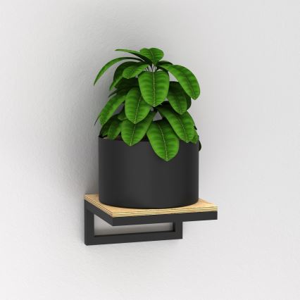 Kvetináč s rastlinou stojí na malej nástenná poličke. Polička je z dreva a kovu, pripevnená k stene. Rastlina má tmavo zelené listy.