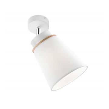 Nástenné bodové svietidlo AGUSTINO 1xE27/60W/230V biela