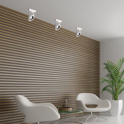 Tri stropné svietidlá svietia na drevenú stenu s vodorovnými lamelami. Pred stenou sú dve biele kreslá a nízky sklenený stolík. V miestnosti je aj zelená rastlina v bielom kvetináči.