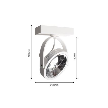 Nástenné bodové svietidlo LUGAR 1xAR111 - GU10/25W/230V