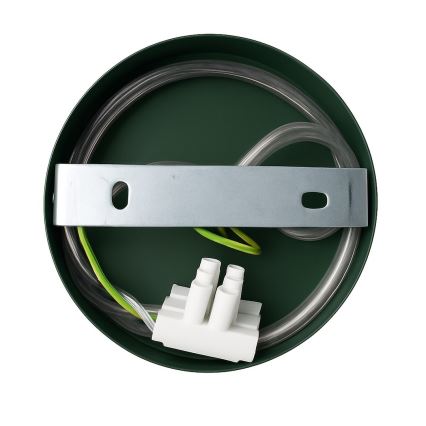 Nástenné svietidlo CAPITAL 1xGX53/15W/230V zelené