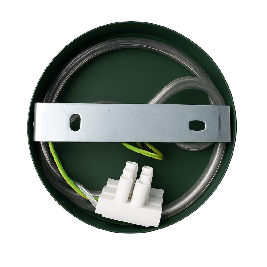 Nástenné svietidlo CAPITAL 1xGX53/15W/230V zelené