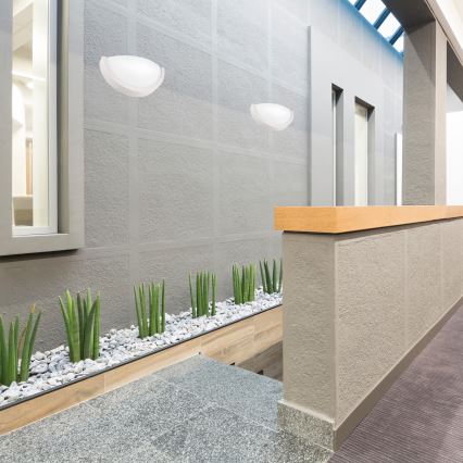 Nástenné svietidlo NATURAL SLIM 1xE27/60W/230V borovica/biela