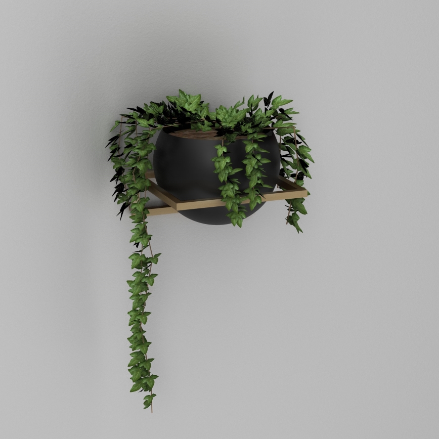 Visiaca kvetináčová nádoba s izbovou rastlinou. Rastlina s prevesenými výhonkami je umiestnená v čiernej guľatej nádobe na drevenom stojane pripevnenej k stene.