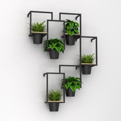 Šesť kvetináčov s izbovými rastlinami je umiestnených na čiernej kovovej poličke pripevnenej na stene. Polička má niekoľko vodorovných a zvislých prvkov. Rastliny sú rôznych druhov.