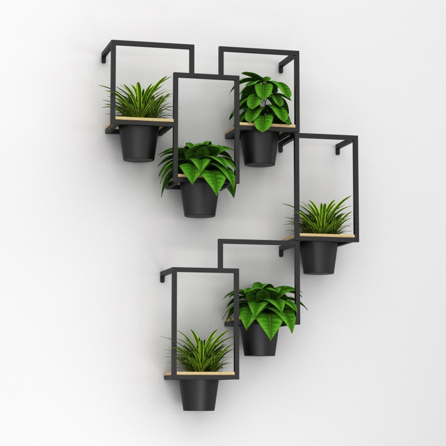Šesť kvetináčov s izbovými rastlinami je umiestnených na čiernej kovovej poličke pripevnenej na stene. Polička má niekoľko vodorovných a zvislých prvkov. Rastliny sú rôznych druhov.