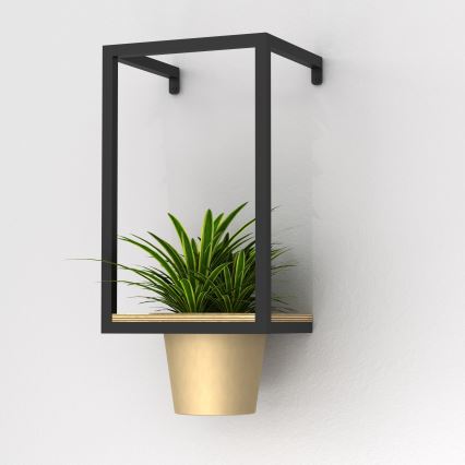 Rastlina v kvetináči je umiestnená v nástennom kovovom ráme. Rám má drevenú poličku. Rastlina je zelená s dlhými listami.