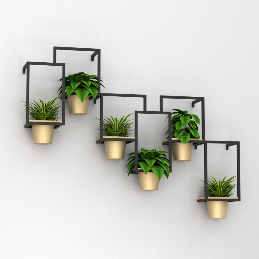 Rastliny v kvetináčoch sú umiestnené na čiernej kovovej poličke pripevnenenej na stene. Kvetináče sú zlaté. Polička má niekoľko samostatných priehradiek pre každú rastlinu.