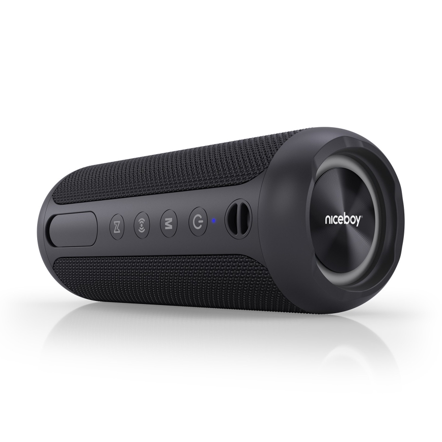 Niceboy Polaris - LED Bezdrôtový reproduktor s mikrofónom 30W/2000 mAh IPX7 čierna