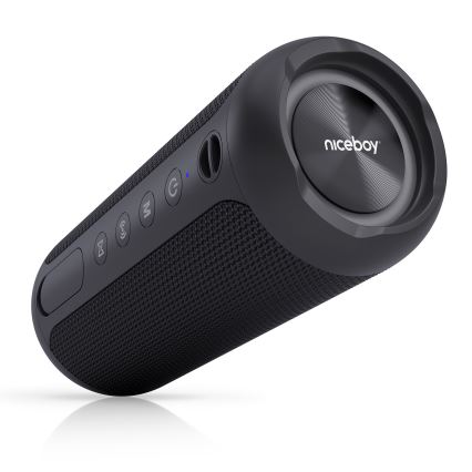 Niceboy Polaris - LED Bezdrôtový reproduktor s mikrofónom 30W/2000 mAh IPX7 čierna