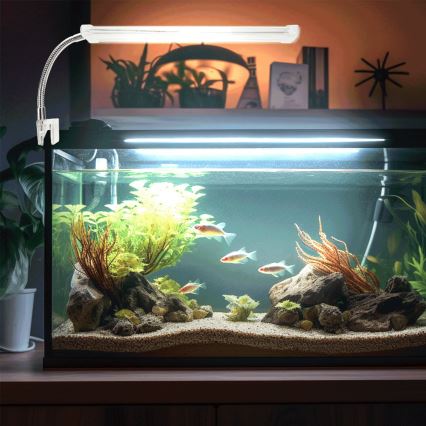 Nobleza - LED Osvetlenie akvária LED/6W/230V IPX7 23 cm