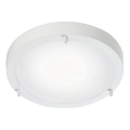 Nordlux - Kúpeľňové stropné svietidlo ANCONA 2xE27/40W/230V IP43 pr. 31,5 cm biele