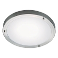 Nordlux - Kúpeľňové stropné svietidlo ANCONA 2xE27/40W/230V IP43 priemer 31,5 cm matný chróm