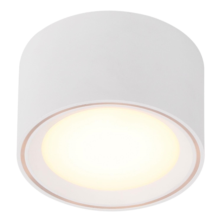 Nordlux - LED Bodové svietidlo FALLON LED/5,5W/230V biela