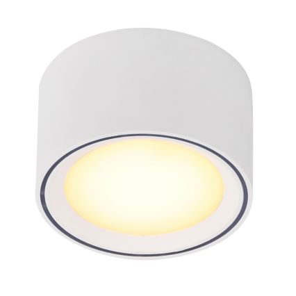 Nordlux - LED Bodové svietidlo FALLON LED/5,5W/230V biela