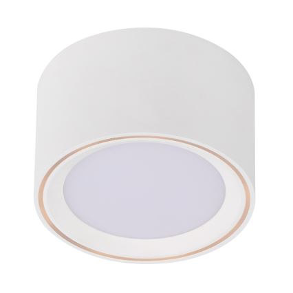 Nordlux - LED Bodové svietidlo FALLON LED/5,5W/230V biela