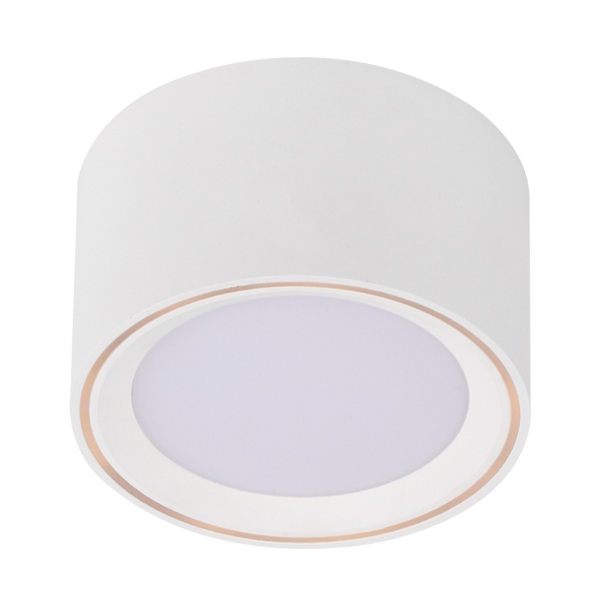 Nordlux - LED Bodové svietidlo FALLON LED/5,5W/230V biela