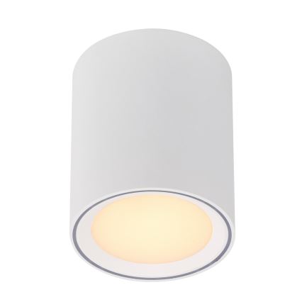 Nordlux - LED Bodové svietidlo FALLON LONG LED/5,5W/230V biela