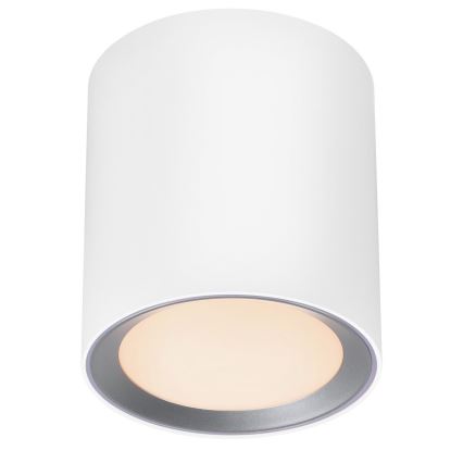 Nordlux - LED Kúpeľňové bodové svietidlo LANDON LED/6,5W/230V IP44 biela