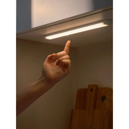 Nordlux - LED Podlinkové svietidlo PRESTON LED/4W/230V 3000/4000K 30 cm