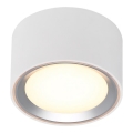 Nordlux - LED Stmievateľné bodové svietidlo FALLON LED/5,5W/230V 2700K pr. 10 cm biela