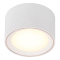 Nordlux - LED Stmievateľné bodové svietidlo FALLON LED/5,5W/230V biela