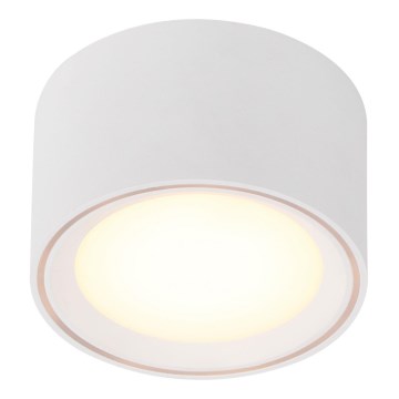 Nordlux - LED Stmievateľné bodové svietidlo FALLON LED/5,5W/230V biela