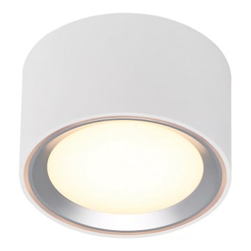Nordlux - LED Stmievateľné stropné svietidlo FALLON LED/5,5W/230V 2700K biela