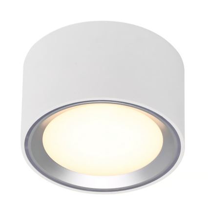 Nordlux - LED Stmievateľné stropné svietidlo FALLON LED/5,5W/230V 2700K biela